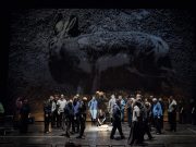 San Francesco ecologista