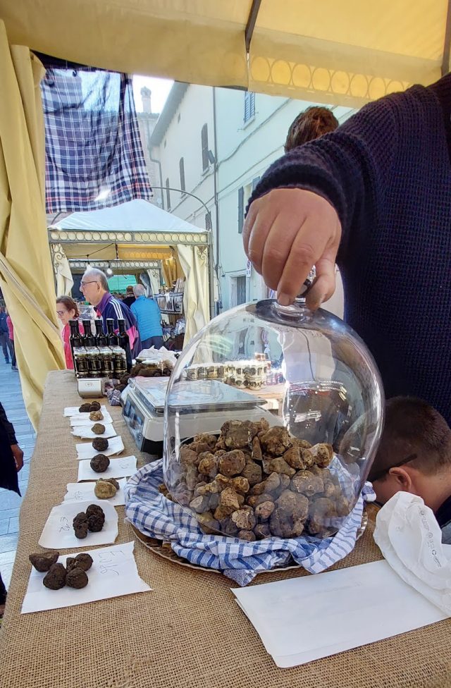Premio Tartufo sottovetro