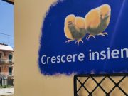 Spazi per crescere, ecco i nuovi locali a Viserba