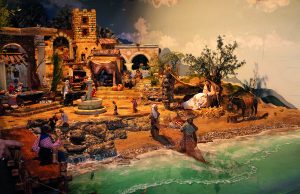 Ha 800 anni, ma non li dimostra