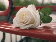 La sconfitta dei giovani “uomini”