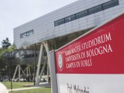 INGEGNERIA NAUTICA, FORLÌ SALE IN CATTEDRA. E RIMINI?