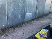 Quelli che il manifesto