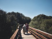 Ereditare la solidarietà