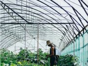 SIPO, DA BELLARIA IGEA MARINA AGLI EMIRATI ARABI