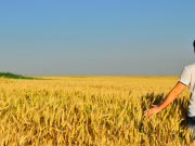 Un nuovo ponte tra giovani e agricoltura?
