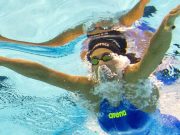 Il Cartellino Sportivo