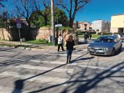 Per favore spostare quelle zebre