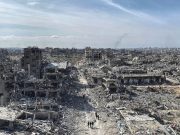 Fare pace conviene all’uomo, all’economia e all’ambiente