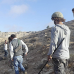 Operazione Colomba Palestina