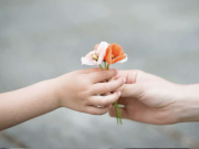 Gentilezza trasgressiva