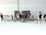 Il Cartellino Sportivo