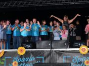 Stelle Cadenti, vent’anni di luce