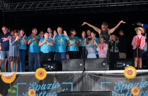 Stelle Cadenti, vent’anni di luce