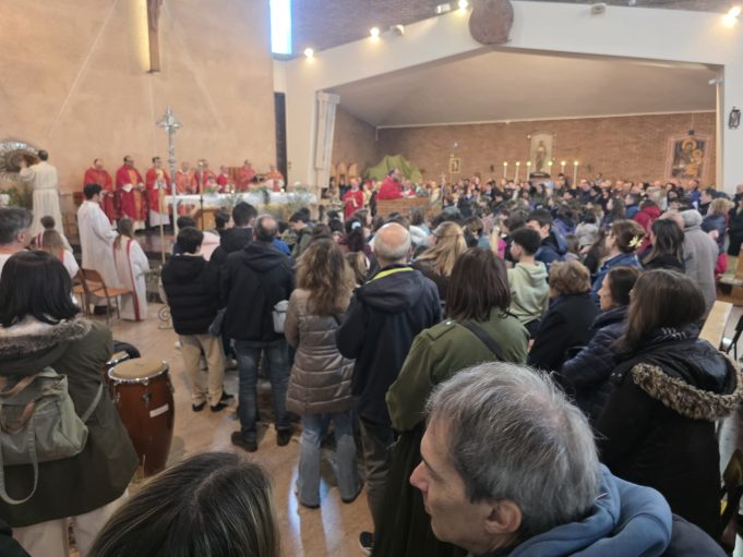 Quando sei diventano una: le Palme da cattedrale della Flaminia