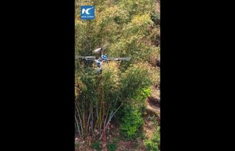 Cina, droni trasportano tè dalle piantagioni montane