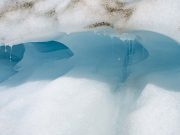 Ambiente, il riscaldamento globale riduce l’ossigeno nei fiumi di tutto il mondo