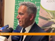 Moreschini “Con Efoi risultato storico per il comparto olive da tavola”