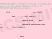 GENERAZIONE SENZA FOGLIO ROSA