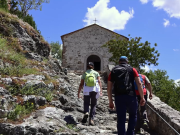 Il ritorno del passo lento
