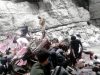 Bus precipita in un burrone in Pakistan, almeno 40 morti