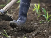 Cina, gli scarti agricoli diventano biochar ad alto valore