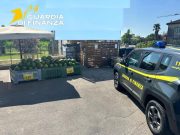 Sequestrati a Rovigo 450 kg di carne scaduta e 3 tonnellate di verdura marcia