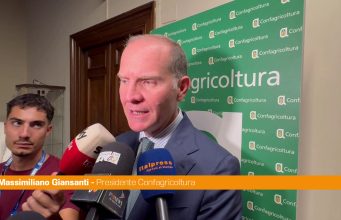 Agricoltura, Giansanti “Da crisi geopolitiche effetti sul sistema produttivo”