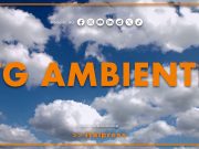 Tg Ambiente – 12/7/2026