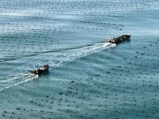 Cina, l’economia marittima segna una crescita costante nel primo semestre