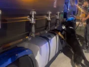 Sequestrati 85 kg di droga al porto di Civitavecchia, arrestato autista bulgaro
