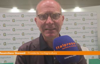 Giansanti “guerra incide sui costi per gli agricoltori, serve risposta europea”