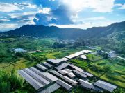 La Cina promuove lo sviluppo di reti elettriche di nuova generazione