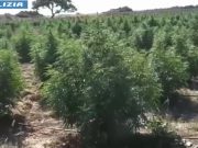 Sgominate due bande dedite allo spaccio a Nuoro, 7 arresti