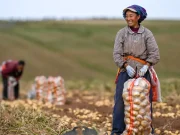 La Cina prevede un 2026 da record per il raccolto di cereali