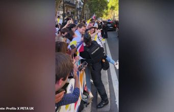 Papa a Parigi, attivisti PETA anti-corrida invadono percorso papamobile