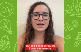 Dalle foglie cadute alla carta, l’idea di uno studente ucraino