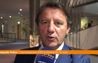 Germania, Tridico “Rispondere a Afd con un’Europa sociale più efficace”
