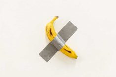 Banane & cartoline