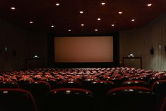 ‘La Vela Illuminata’ torna a rischiarire il cinema d’estate