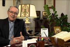 Vescovo Francesco, domani cittadino onorario di Rimini